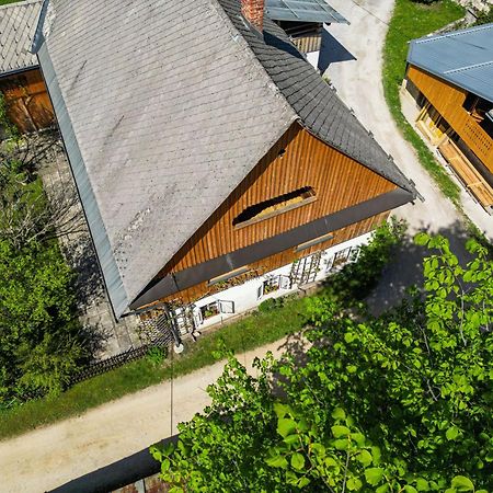 House, Garden And A Green Cat Bled Exteriér fotografie