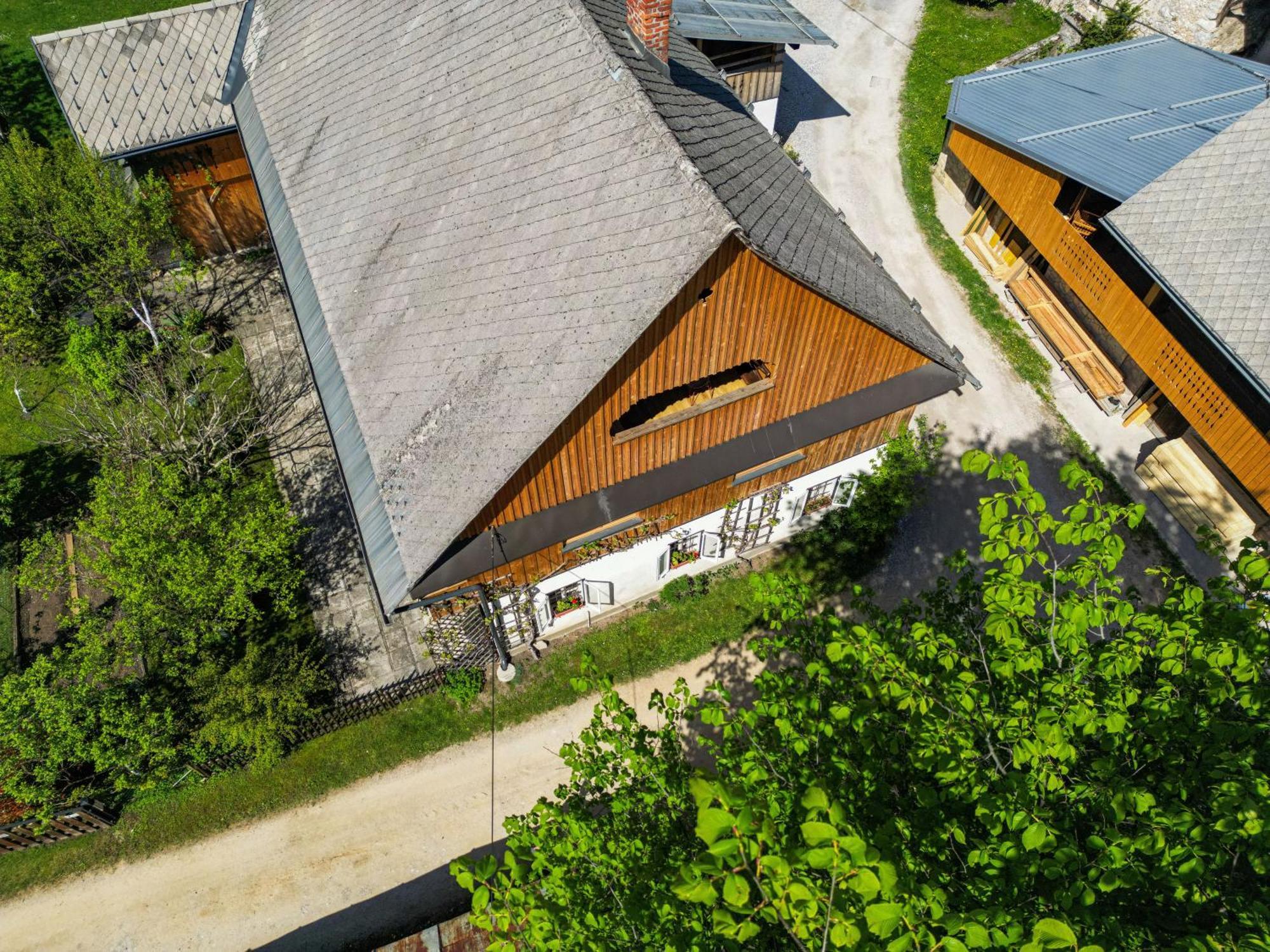 House, Garden And A Green Cat Bled Exteriér fotografie