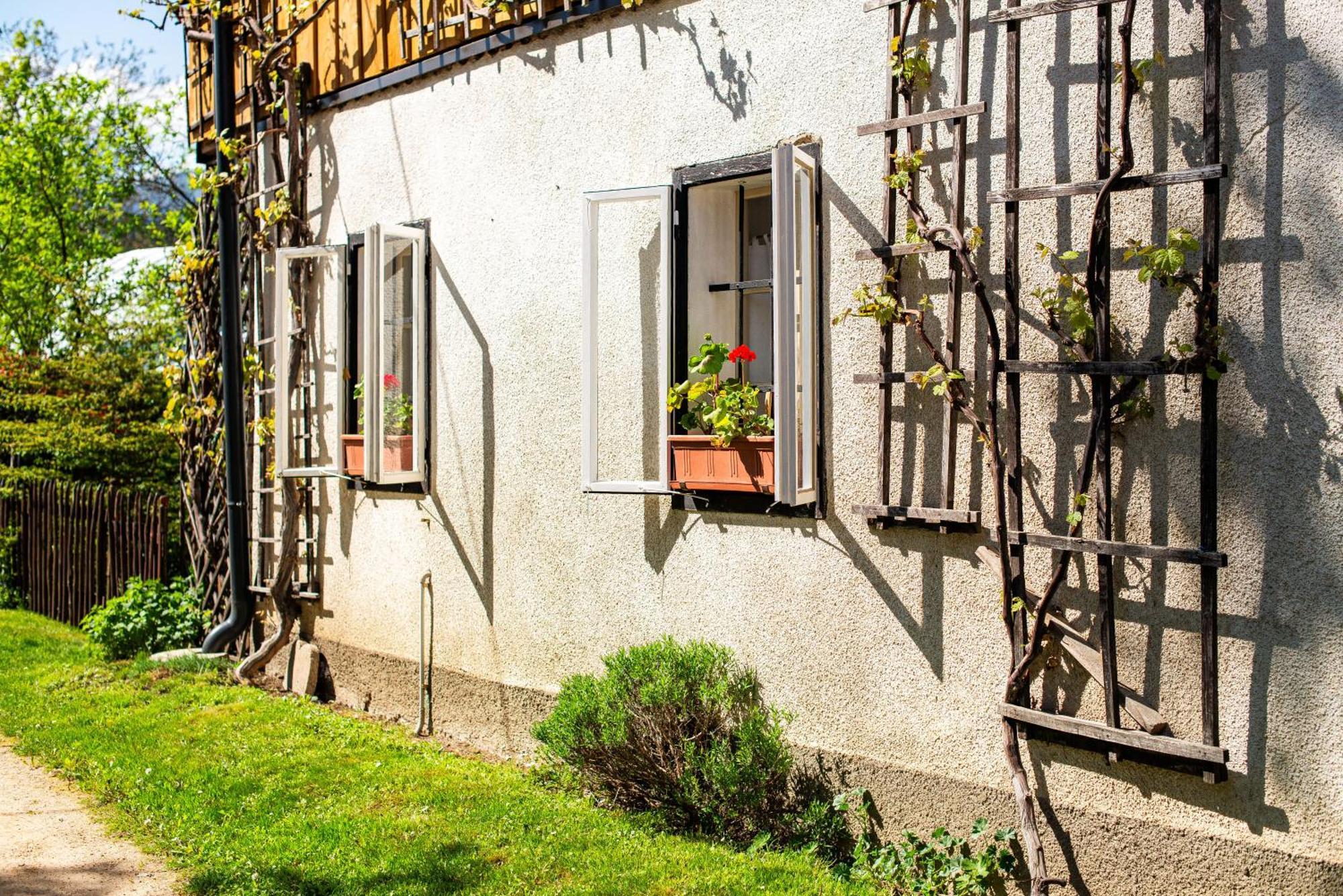 House, Garden And A Green Cat Bled Exteriér fotografie