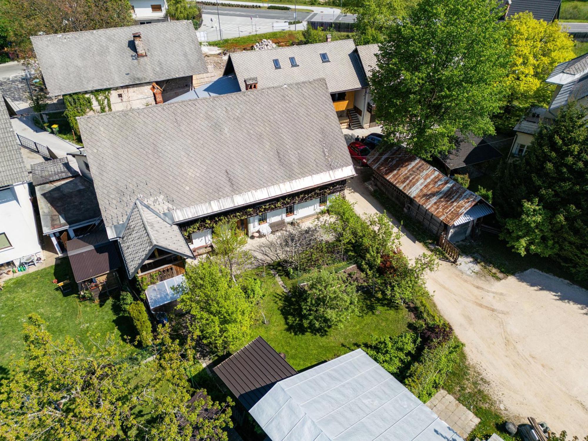 House, Garden And A Green Cat Bled Exteriér fotografie