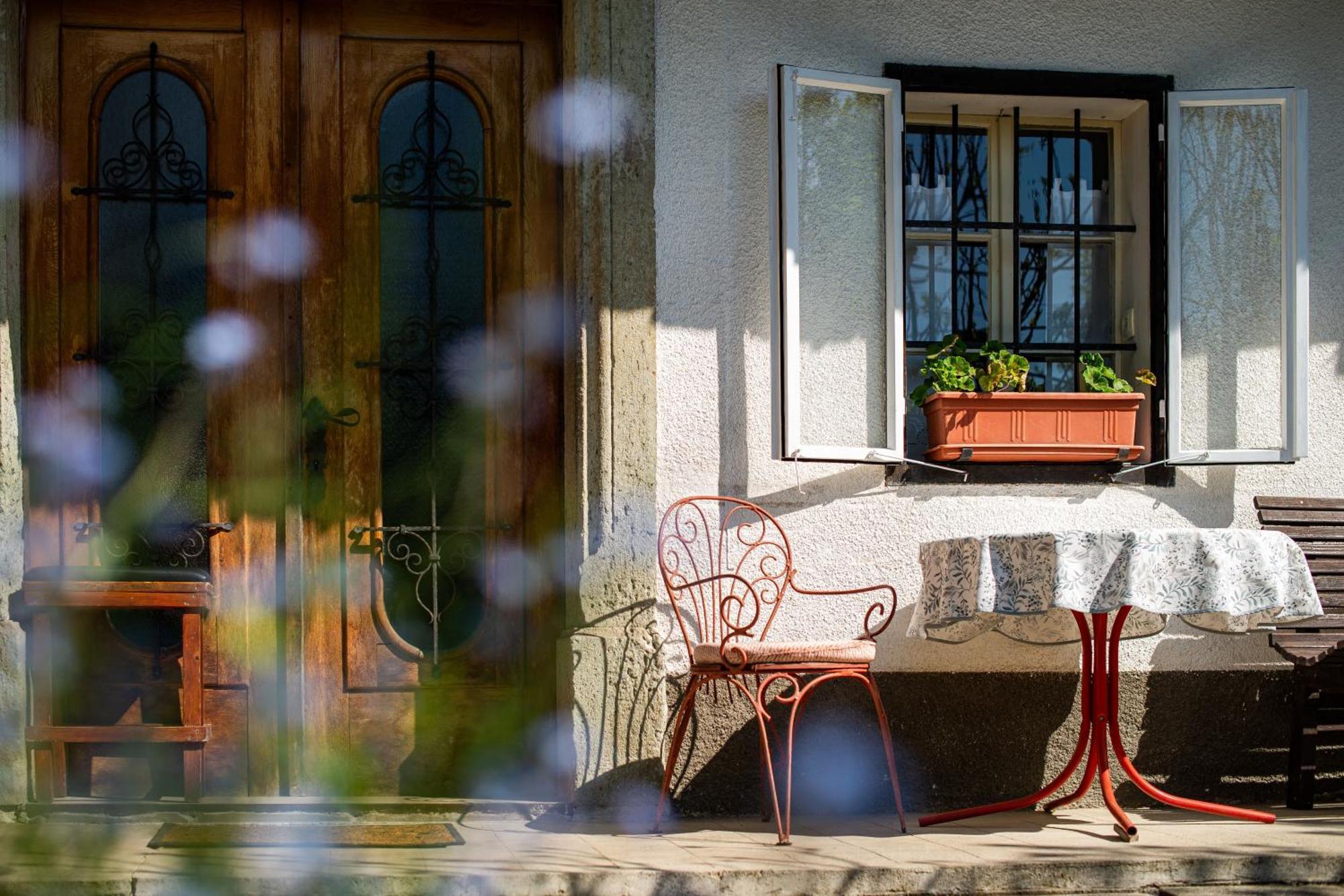 House, Garden And A Green Cat Bled Exteriér fotografie