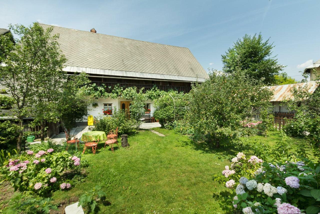 House, Garden And A Green Cat Bled Exteriér fotografie